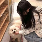 三国猛将争霸手游